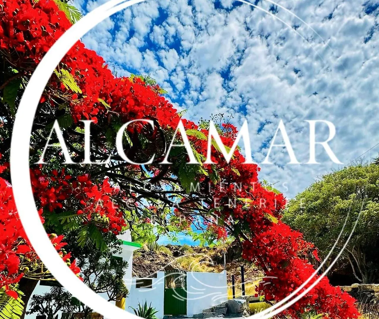 Alcamar Habitacion Privada Con Las Areas De Sala, Cocina Y Bano Que Se Comparten Cerca Al Mar! Alcala  Alcala (Tenerife)
